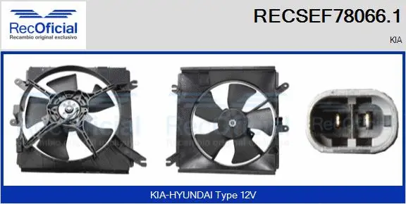 Electric Motor, radiator fan (RECSEF78066.1)