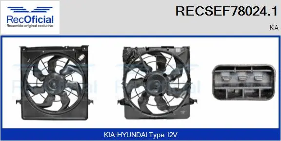 Electric Motor, radiator fan (RECSEF78024.1)