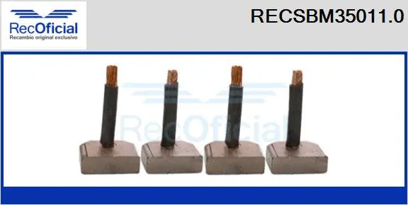 Carbon Brush, starter (RECSBM35011.0)