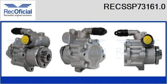 Hydraulic Pump, steering (RECSSP73161.0)