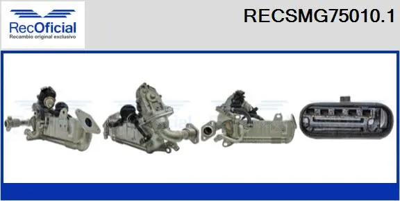 EGR Module (RECSMG75010.1)