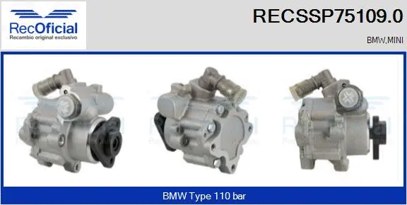 Hydraulic Pump, steering (RECSSP75109.0)