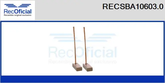 Carbon Brush, alternator (RECSBA10603.0)