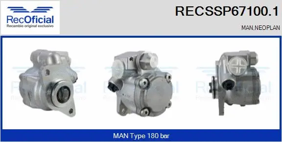Hydraulic Pump, steering (RECSSP67100.1)