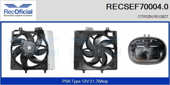 Electric Motor, radiator fan (RECSEF70004.0)