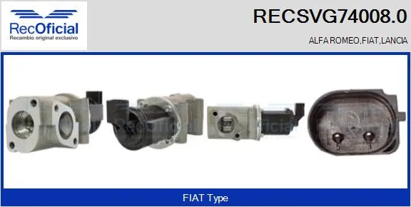 EGR Valve (RECSVG74008.0)
