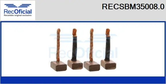 Carbon Brush, starter (RECSBM35008.0)