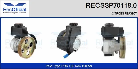Hydraulic Pump, steering (RECSSP70118.0)