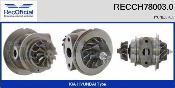 Core assembly, turbocharger (RECCH78003.0)