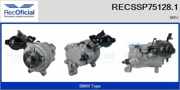 Hydraulic Pump, steering (RECSSP75128.1)