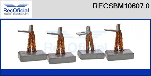 Carbon Brush, starter (RECSBM10607.0)