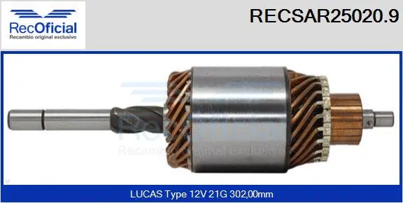 Armature, starter (RECSAR25020.9)