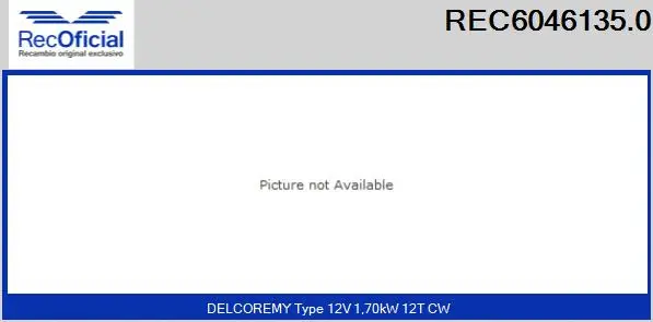 Starter (REC6046135.0)