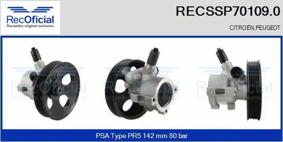 Hydraulic Pump, steering (RECSSP70109.0)