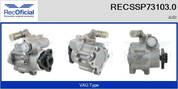 Hydraulic Pump, steering (RECSSP73103.0)