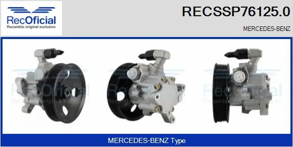 Hydraulic Pump, steering (RECSSP76125.0)
