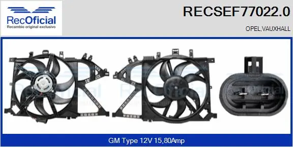 Electric Motor, radiator fan (RECSEF77022.0)