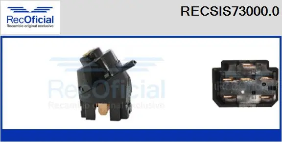 Ignition Switch (RECSIS73000.0)