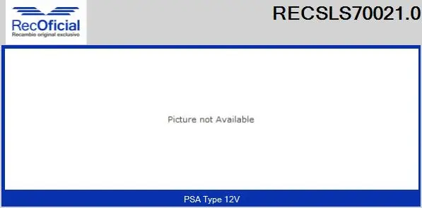 Steering Column Switch (RECSLS70021.0)