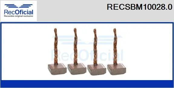 Carbon Brush, starter (RECSBM10028.0)