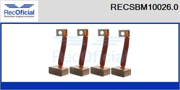 Carbon Brush, starter (RECSBM10026.0)