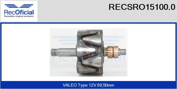 Rotor, alternator (RECSRO15100.0)