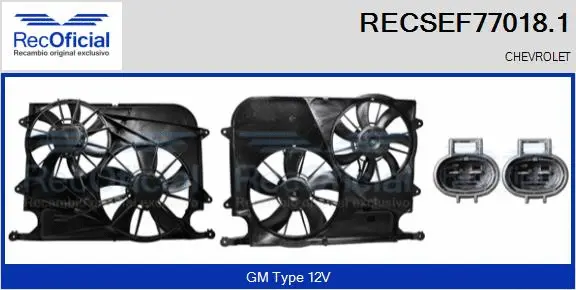 Electric Motor, radiator fan (RECSEF77018.1)