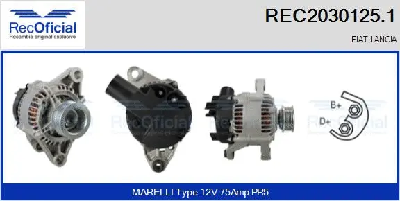 Alternator (REC2030125.1)