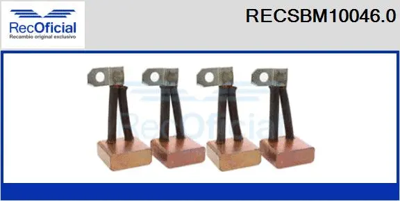 Carbon Brush, starter (RECSBM10046.0)