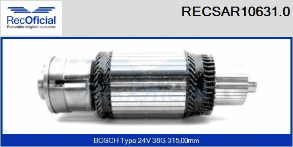 Armature, starter (RECSAR10631.0)
