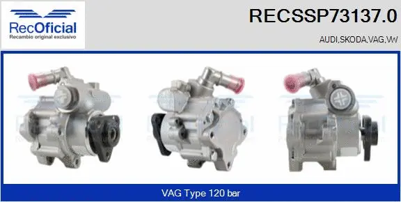 Hydraulic Pump, steering (RECSSP73137.0)