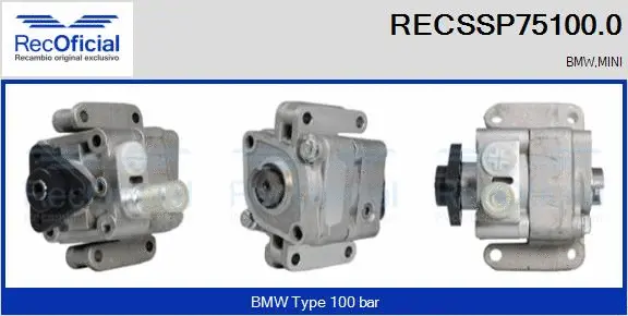 Hydraulic Pump, steering (RECSSP75100.0)