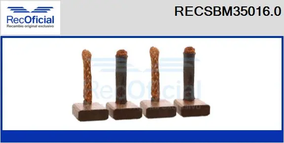 Carbon Brush, starter (RECSBM35016.0)