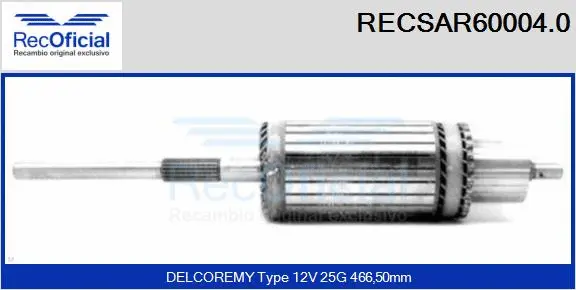 Armature, starter (RECSAR60004.0)