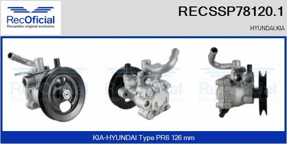 Hydraulic Pump, steering (RECSSP78120.1)