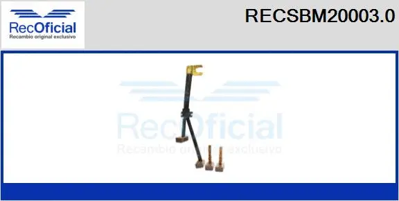 Carbon Brush, starter (RECSBM20003.0)