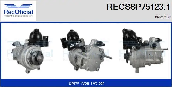 Hydraulic Pump, steering (RECSSP75123.1)