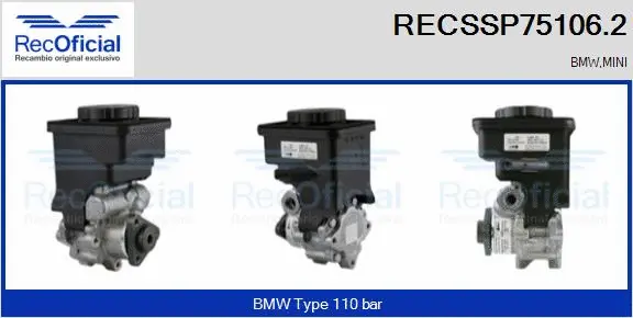 Hydraulic Pump, steering (RECSSP75106.2)