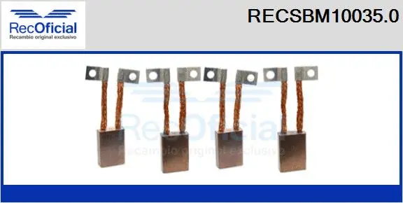 Carbon Brush, starter (RECSBM10035.0)