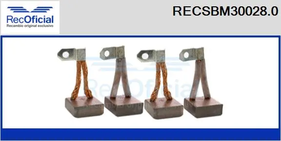 Carbon Brush, starter (RECSBM30028.0)