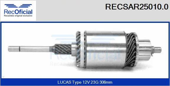 Armature, starter (RECSAR25010.0)