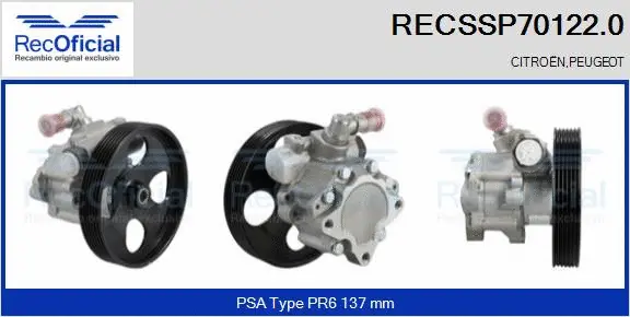 Hydraulic Pump, steering (RECSSP70122.0)