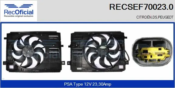 Electric Motor, radiator fan (RECSEF70023.0)