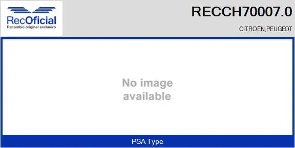 Core assembly, turbocharger (RECCH70007.0)