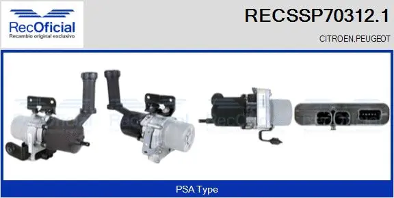 Hydraulic Pump, steering (RECSSP70312.1)