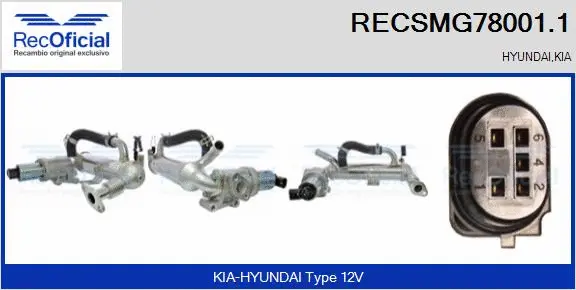 EGR Module (RECSMG78001.1)