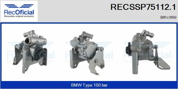 Hydraulic Pump, steering (RECSSP75112.1)