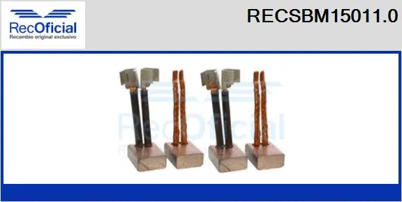 Carbon Brush, starter (RECSBM15011.0)
