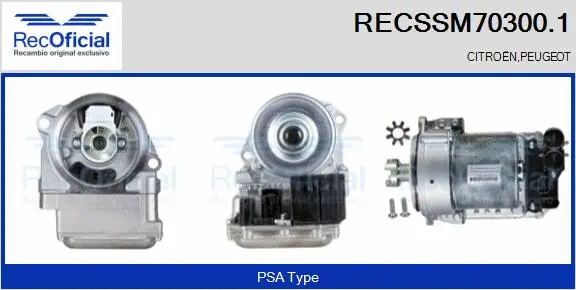 Electric Motor, steering gear (RECSSM70300.1)