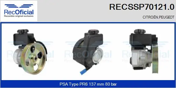 Hydraulic Pump, steering (RECSSP70121.0)